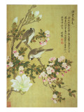 Buy Crabapple, Magnolia and Baitou Birds at AllPosters.com