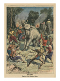 Catching a White Elephant in Siam
