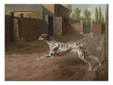 Buy A Dalmation Running in a Stable Yard at AllPosters.com