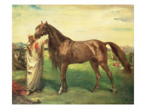 Hadji, an Arabian Stallion, 1853
