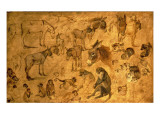Buy Study of Donkeys, Kittens and Monkeys, 1616 at AllPosters.com