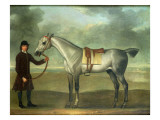 Buy Grey Racehorse Held by a Groom at AllPosters.com