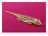 Buy Lizard, from Colombia at AllPosters.com