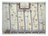 Buy The Road from London to Arundel at AllPosters.com