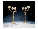 Buy Magnolia Lamps, 1903 at AllPosters.com