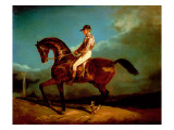 Buy Jockey Mounted on a Racehorse at AllPosters.com