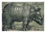 The Rhinoceros, 1515