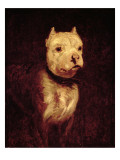 Buy Portrait of a Bulldog at AllPosters.com