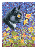 Buy A Cat in a Sea of Flowers at AllPosters.com