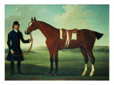 Buy A Bay Hunter Held by a Groom at AllPosters.com