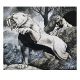 Sabre-Toothed Tigers