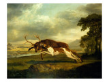 Buy A Hound Attacking a Stag at AllPosters.com
