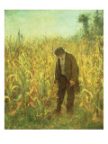 Buy Man in a Cornfield at AllPosters.com