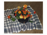 Buy Bowl of Nasturtiums at AllPosters.com
