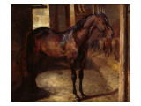 Buy Dark Bay Horse in the Stable at AllPosters.com