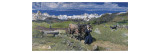 Spring in the Alps, 1897