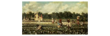 Cotton Field, Mississippi