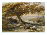 Buy Sheep in the Shade, C.1851 at AllPosters.com