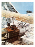 Buy Spotting the Ark at AllPosters.com