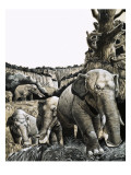 The Strange Amebelodon, 1970