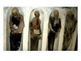 Buy Mummified Remains at AllPosters.com