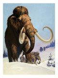 Buy Mammoths from the Ice Age, 1969 at AllPosters.com