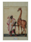 Buy Berber with a Giraffe at AllPosters.com