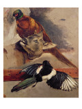 Buy Still Life of Game, C.1812-16 at AllPosters.com