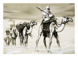Camels Crossing the Desert