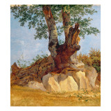 Buy A Tree in Campagna, 1822-23 at AllPosters.com
