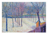 The Orchard under the Snow
