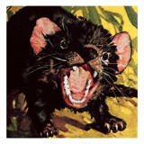 Buy The Tasmanian Devil at AllPosters.com
