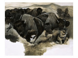 Charging Buffalo Giclee Print