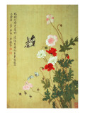 Buy Poppies, Butterflies and Bees at AllPosters.com