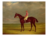 Buy Birmingham with P. Conolly Up at AllPosters.com