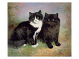 Buy A Pair of Pussy Cats at AllPosters.com