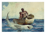 Shark Fishing, 1885