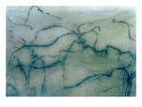 Buy Antelope and Bison, Perigordian at AllPosters.com
