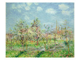 Verger En Fleur, L902