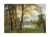A Quiet Lake