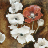 Buy Loose Poppies II at AllPosters.com