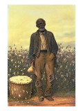 The Old Cotton Picker