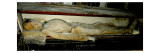 Buy Mummified Remains at AllPosters.com