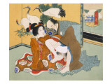Buy Couple Having Sex at AllPosters.com