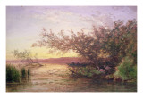 Sunset, Camargue