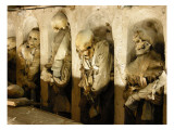 Buy Mummified Remains at AllPosters.com