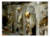 Buy Mummified Remains at AllPosters.com
