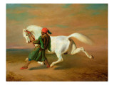 Buy The Pasha's Pride at AllPosters.com