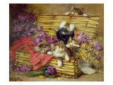 Buy Kittens at Play at AllPosters.com