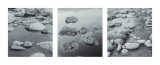 Roky Streams